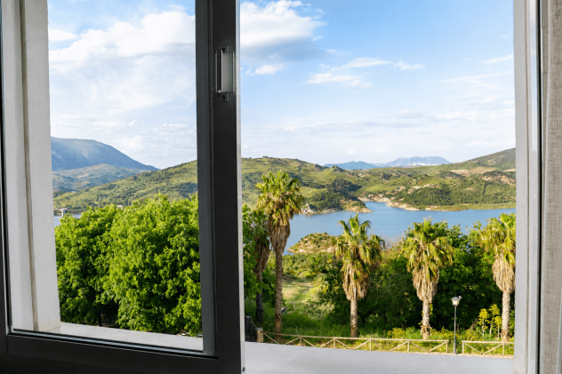 Views from the dining room window
